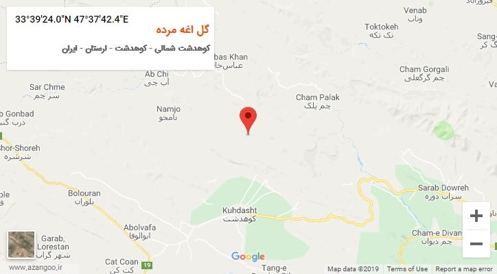 روستای گل اغه مرده بر روی نقشه