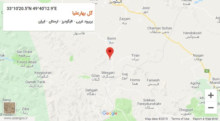 روستای گل بهارعلیا بر روی نقشه