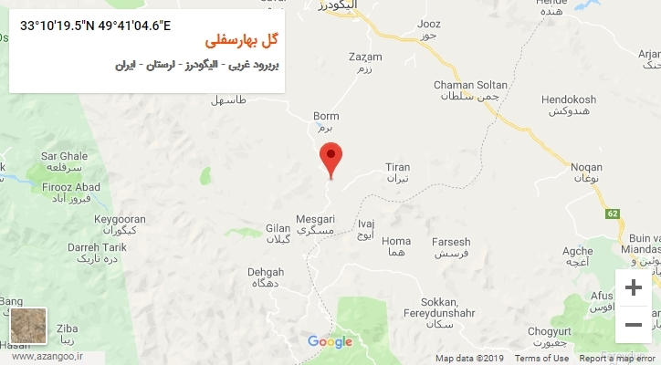 روستای گل بهارسفلی بر روی نقشه