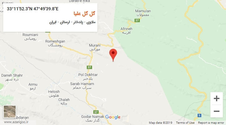 روستای گل گل علیا بر روی نقشه
