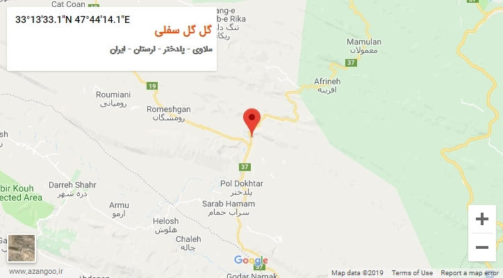 روستای گل گل سفلی بر روی نقشه