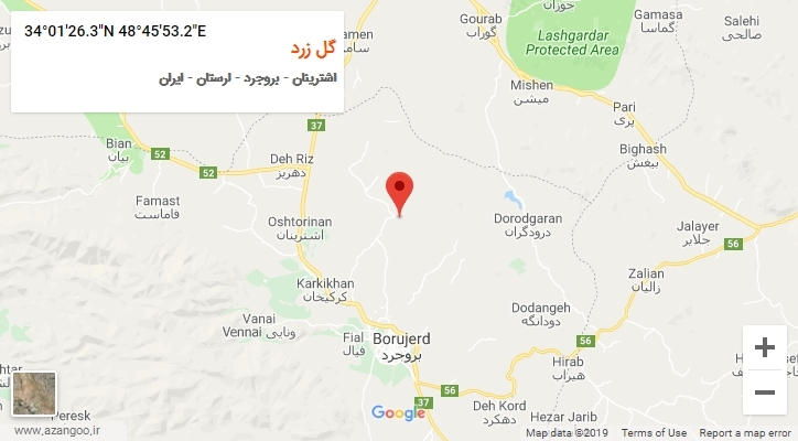 روستای گل زرد بر روی نقشه