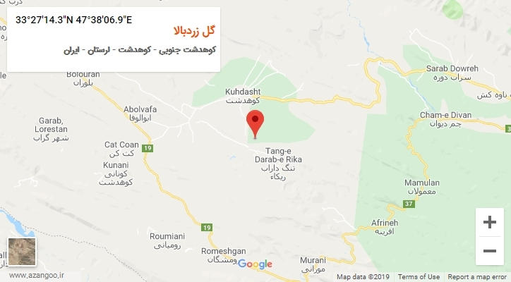 روستای گل زردبالا بر روی نقشه