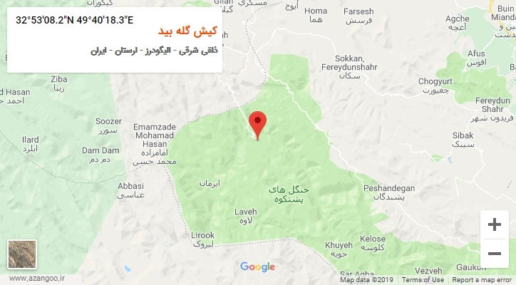 روستای کیش گله بید بر روی نقشه