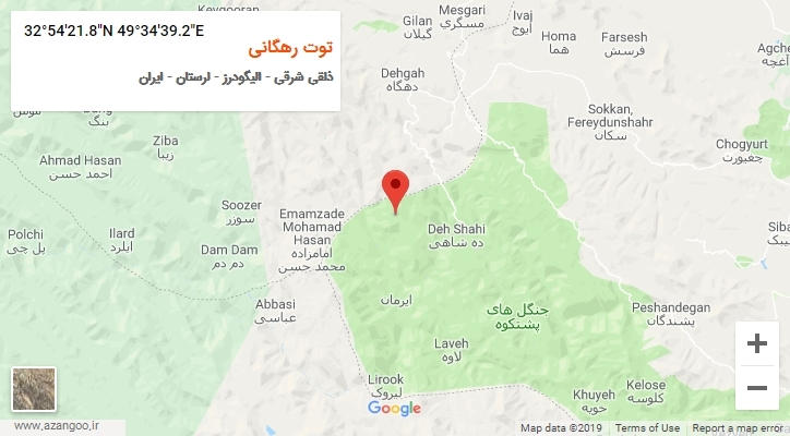 روستای توت رهگانی بر روی نقشه
