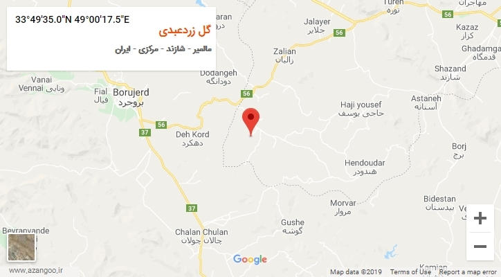 روستای گل زردعبدی بر روی نقشه