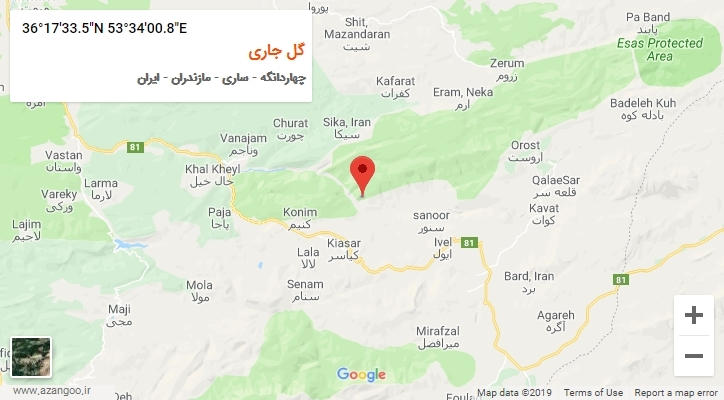 روستای گل جاری بر روی نقشه