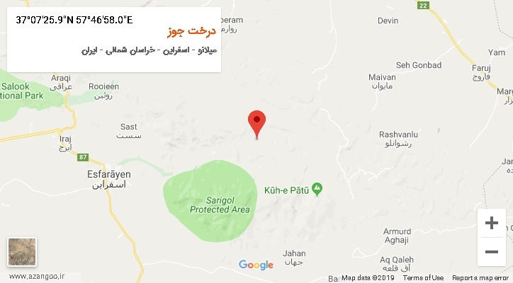 روستای درخت جوز بر روی نقشه