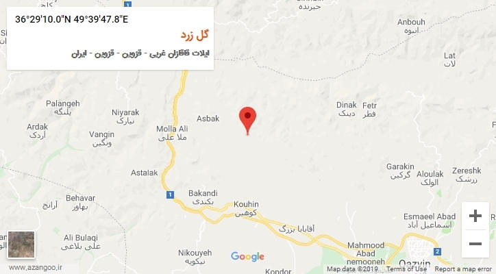 روستای گل زرد بر روی نقشه
