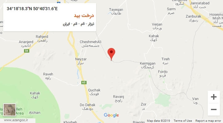 روستای درخت بید بر روی نقشه