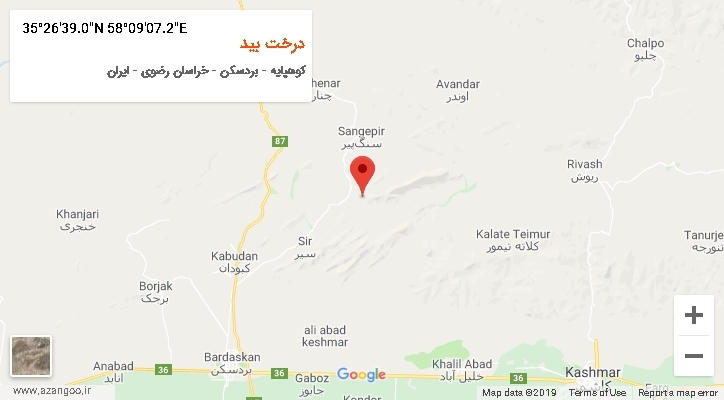 روستای درخت بید بر روی نقشه