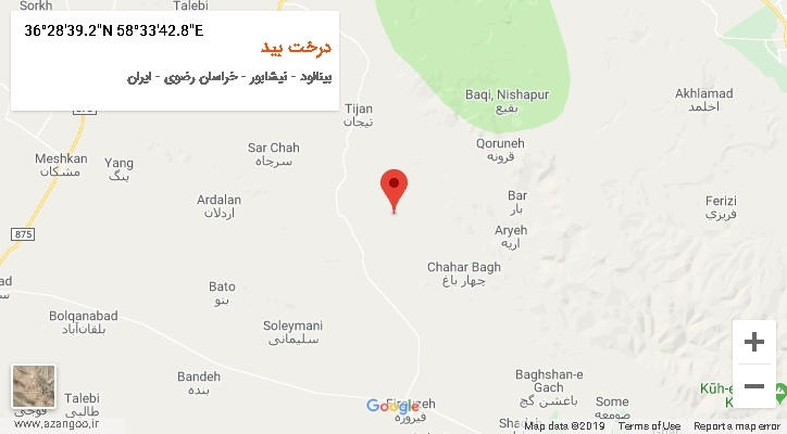 روستای درخت بید بر روی نقشه