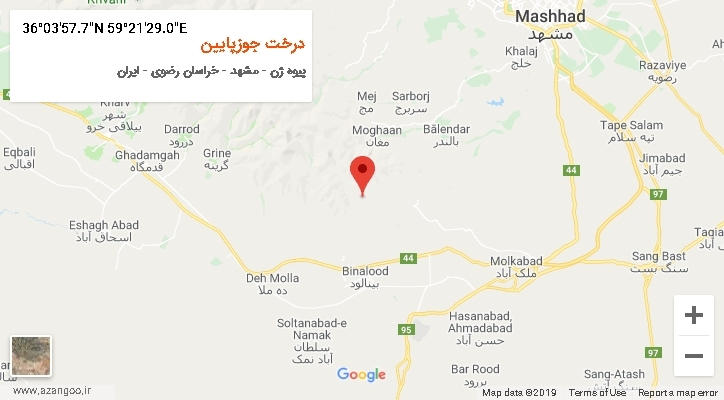 روستای درخت جوزپایین بر روی نقشه