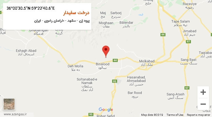 روستای درخت سفیدار بر روی نقشه
