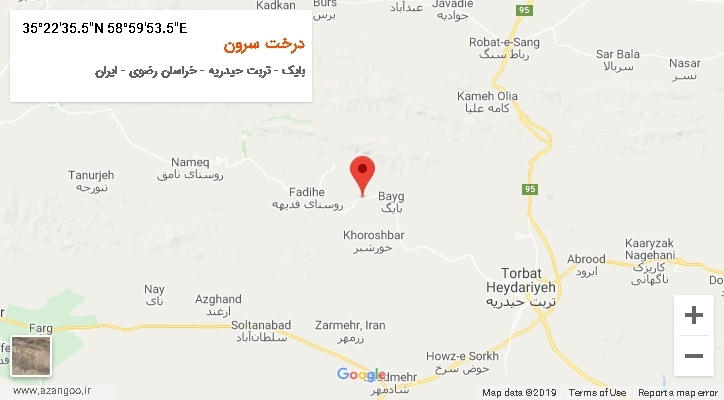 روستای درخت سرون بر روی نقشه