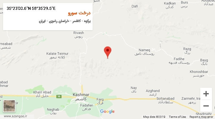 روستای درخت سورو بر روی نقشه