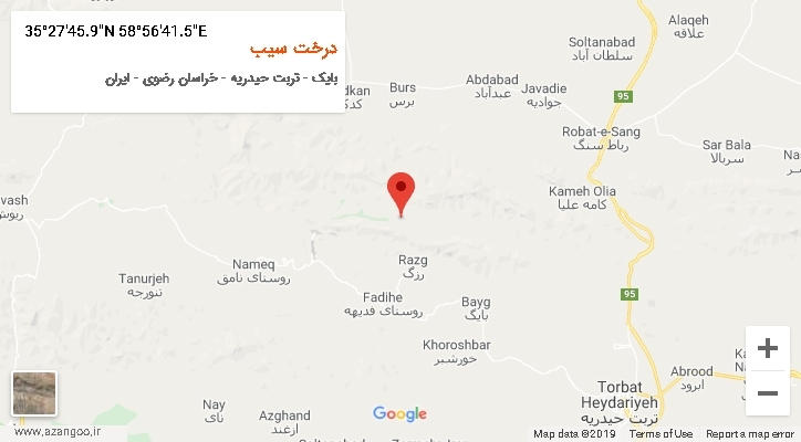 روستای درخت سیب بر روی نقشه