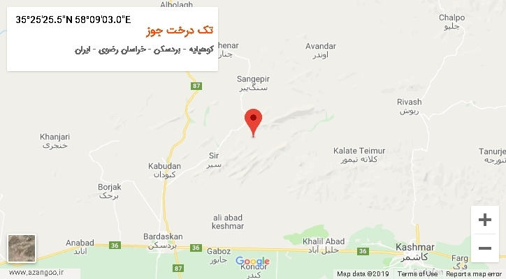 روستای تک درخت جوز بر روی نقشه