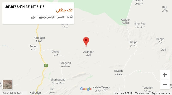 روستای تک جنگلی بر روی نقشه