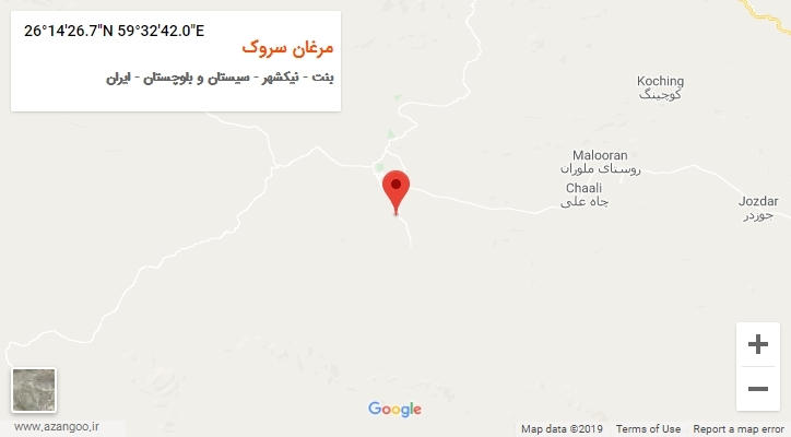 روستای مرغان سروک بر روی نقشه