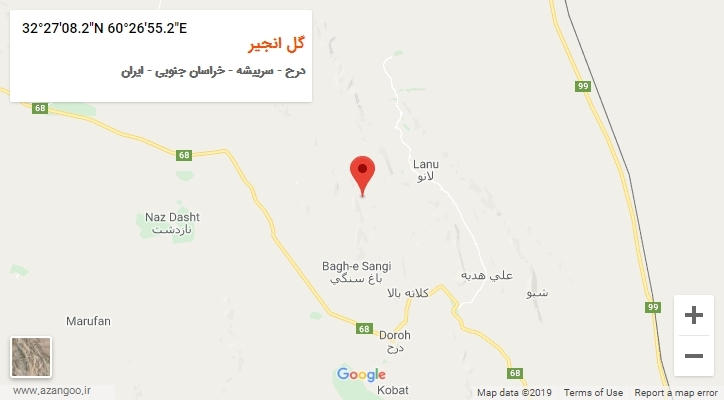 روستای گل انجیر بر روی نقشه