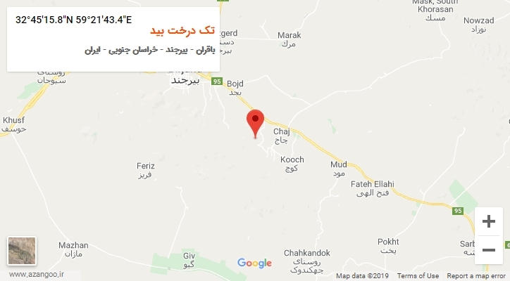 روستای تک درخت بید بر روی نقشه