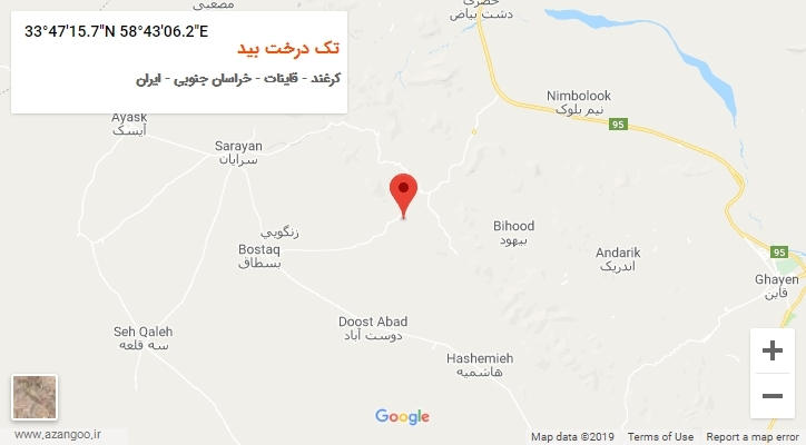 روستای تک درخت بید بر روی نقشه